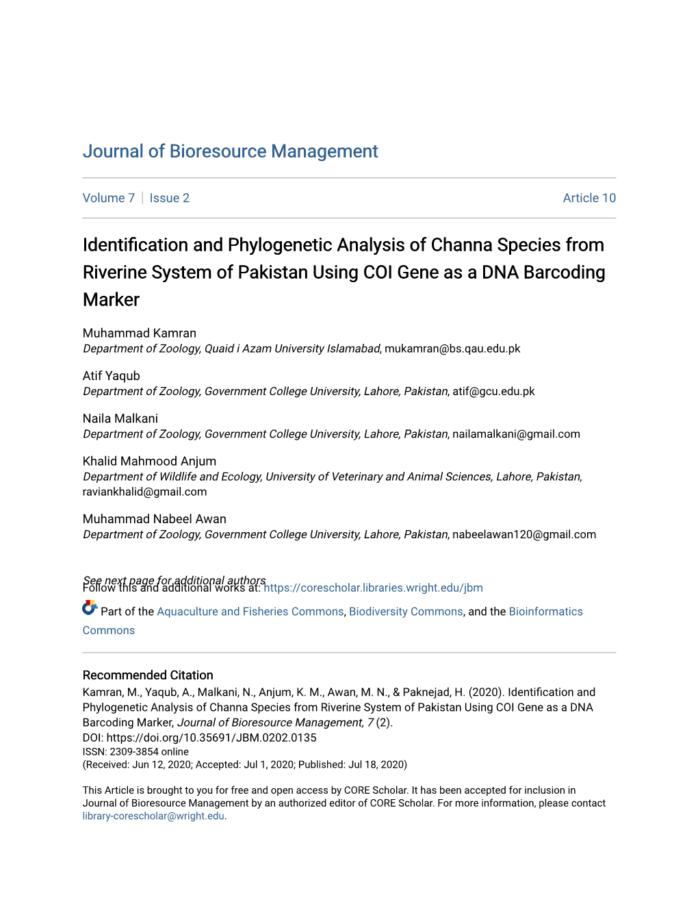 Identification and Phylogenetic Analysis of Channa Species from Riverine System of Pakistan Using COI Gene As a DNA Barcoding Marker