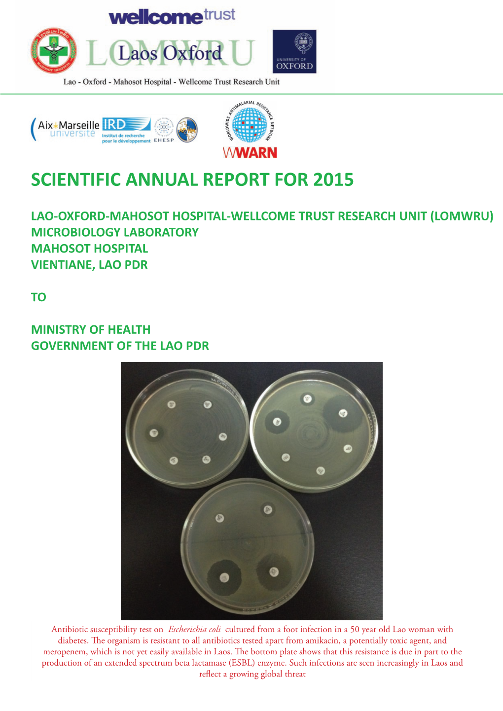 Scientific Annual Report for 2015