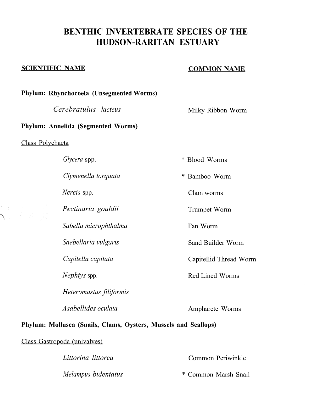 Benthic Invertebrate Species of the Hudson-Raritan Estuary