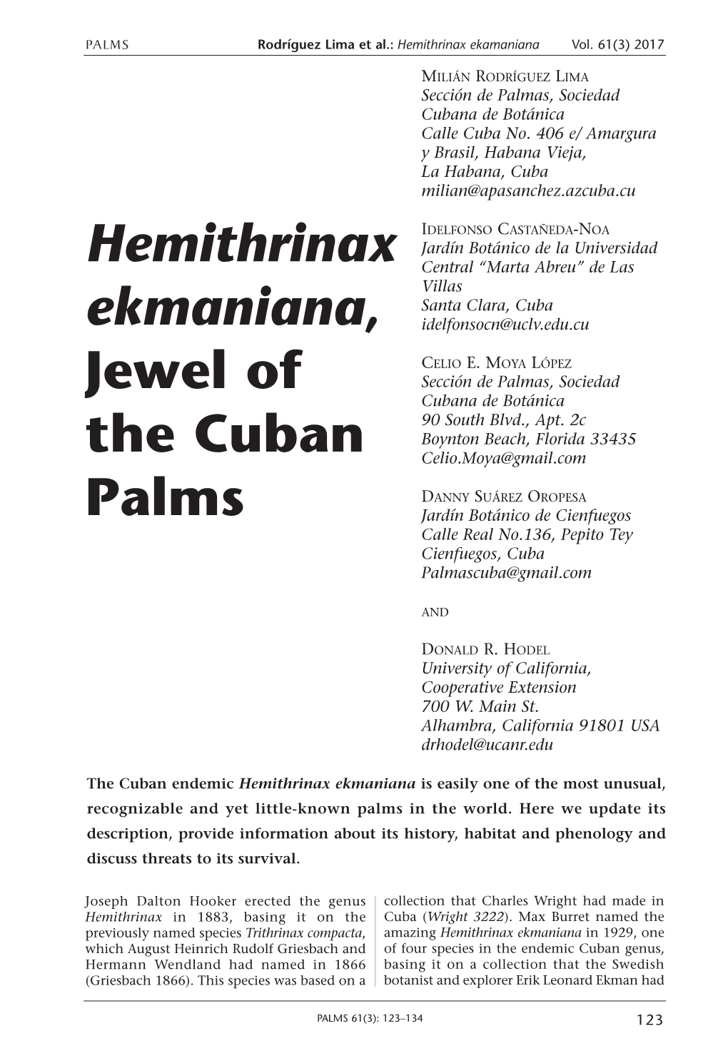 Hemithrinax Ekmaniana, Jewel of the Cuban Palms