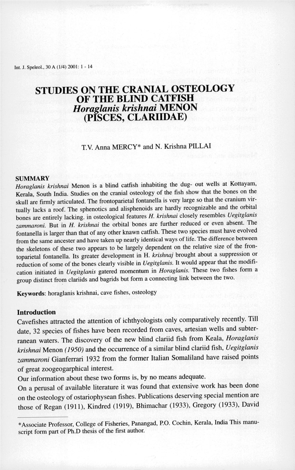 Studies on the Cranial Osteology of the Blind Catfish <Em>Horaglanis Krishnai</Em> Menon (Pisces, Clariidae)