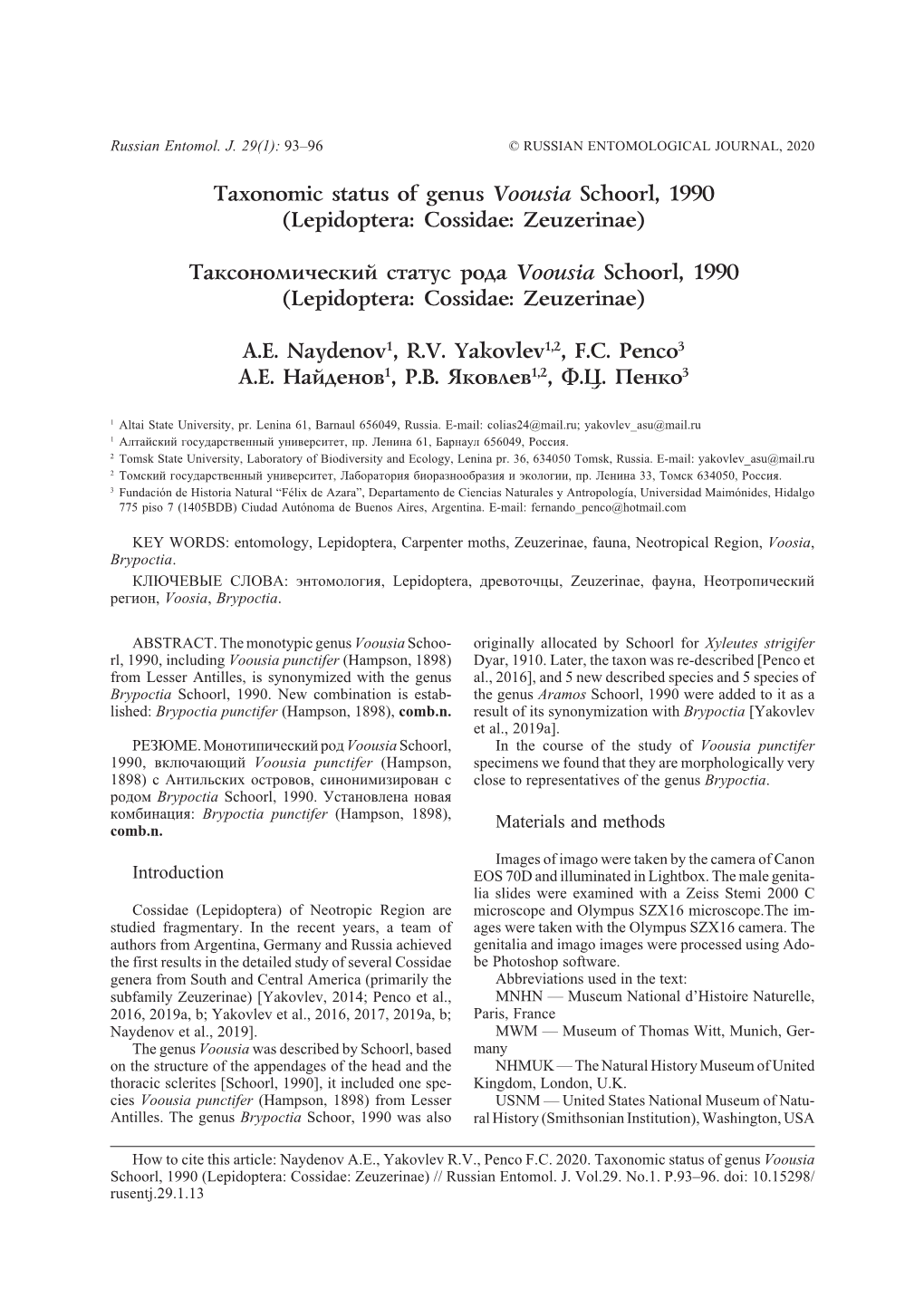 Taxonomic Status of Genus Voousia Schoorl, 1990 (Lepidoptera: Cossidae: Zeuzerinae)