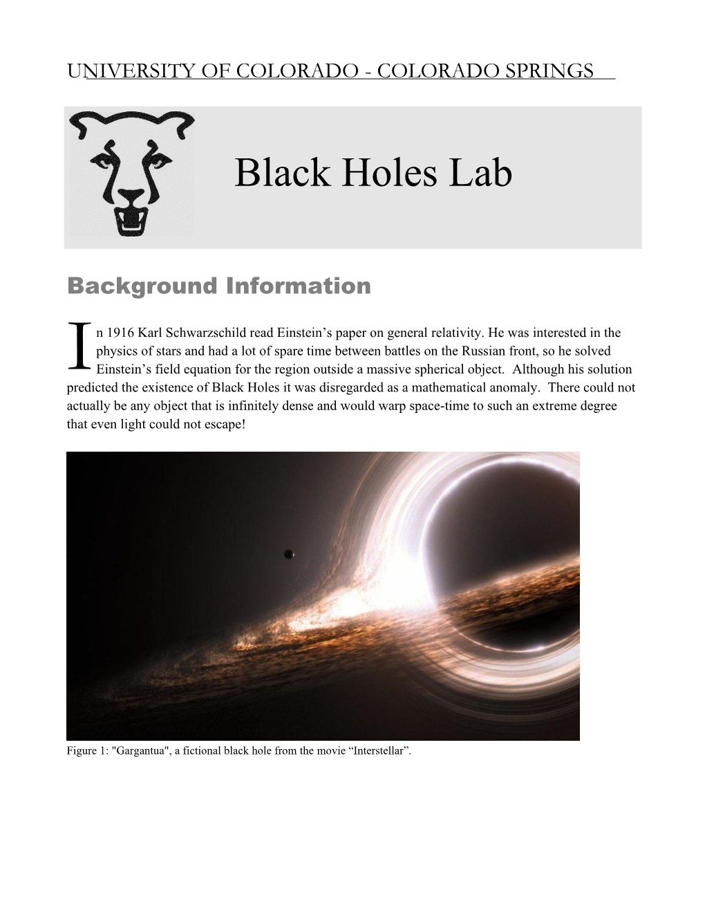 Black Holes Lab