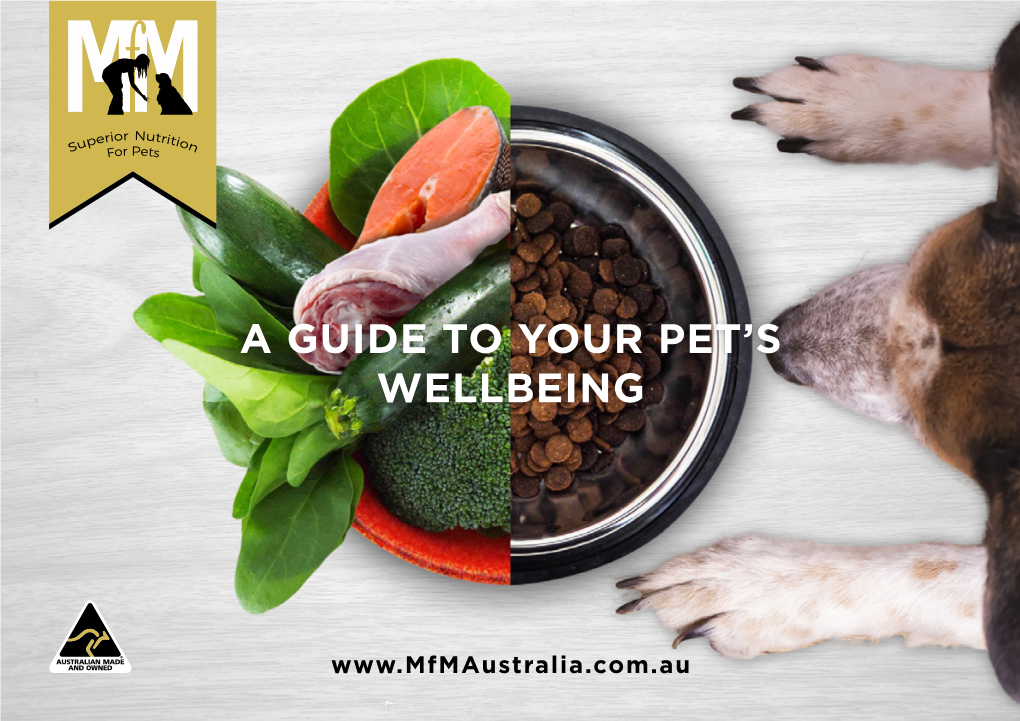 A Guide to Your Pet's Wellbeing