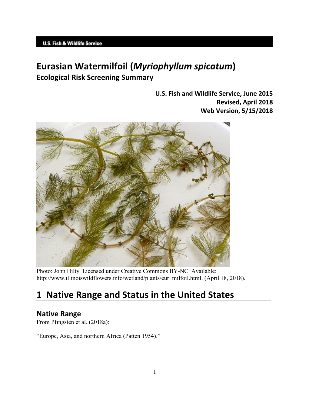 Eurasian Watermilfoil (Myriophyllum Spicatum) Ecological Risk Screening Summary