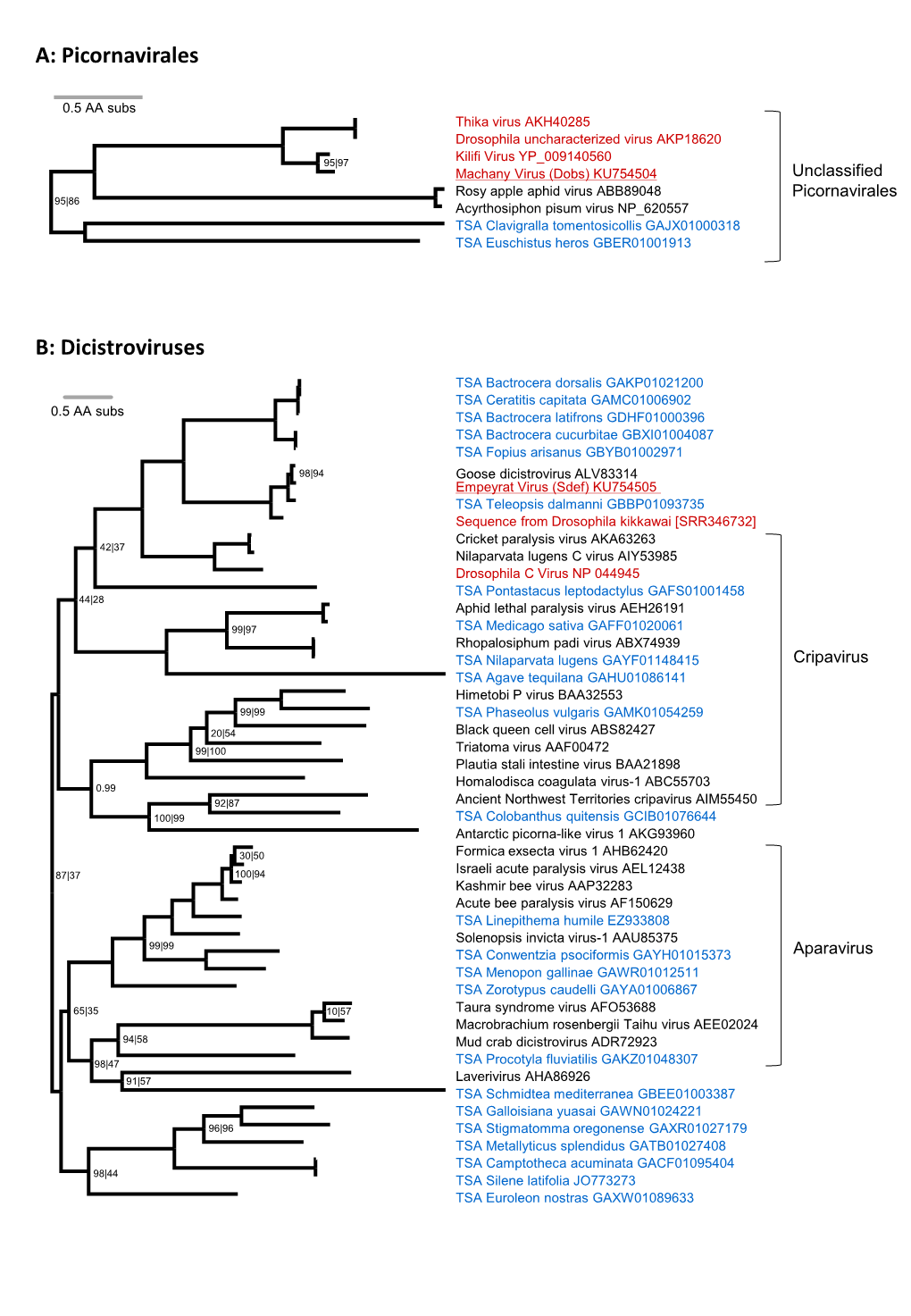 A: Picornavirales B: Dicistroviruses