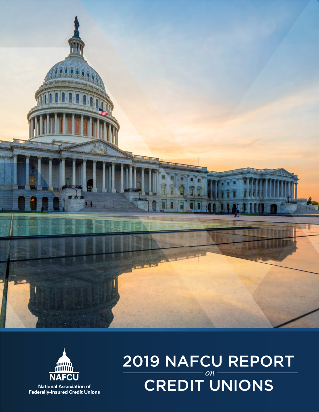 2019 Nafcu Report Credit Unions