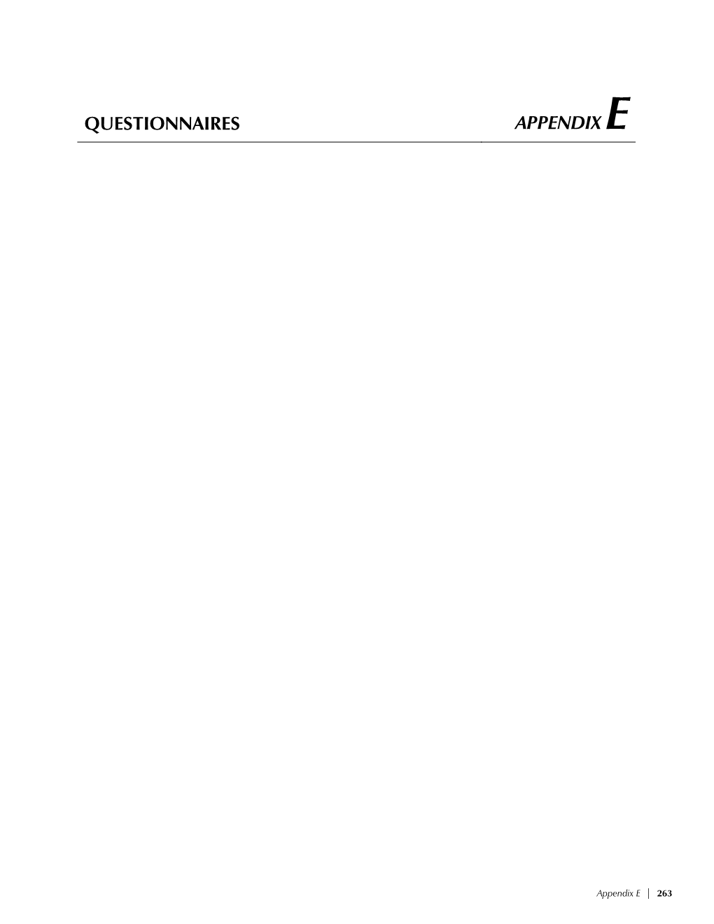 Questionnaires Appendix E