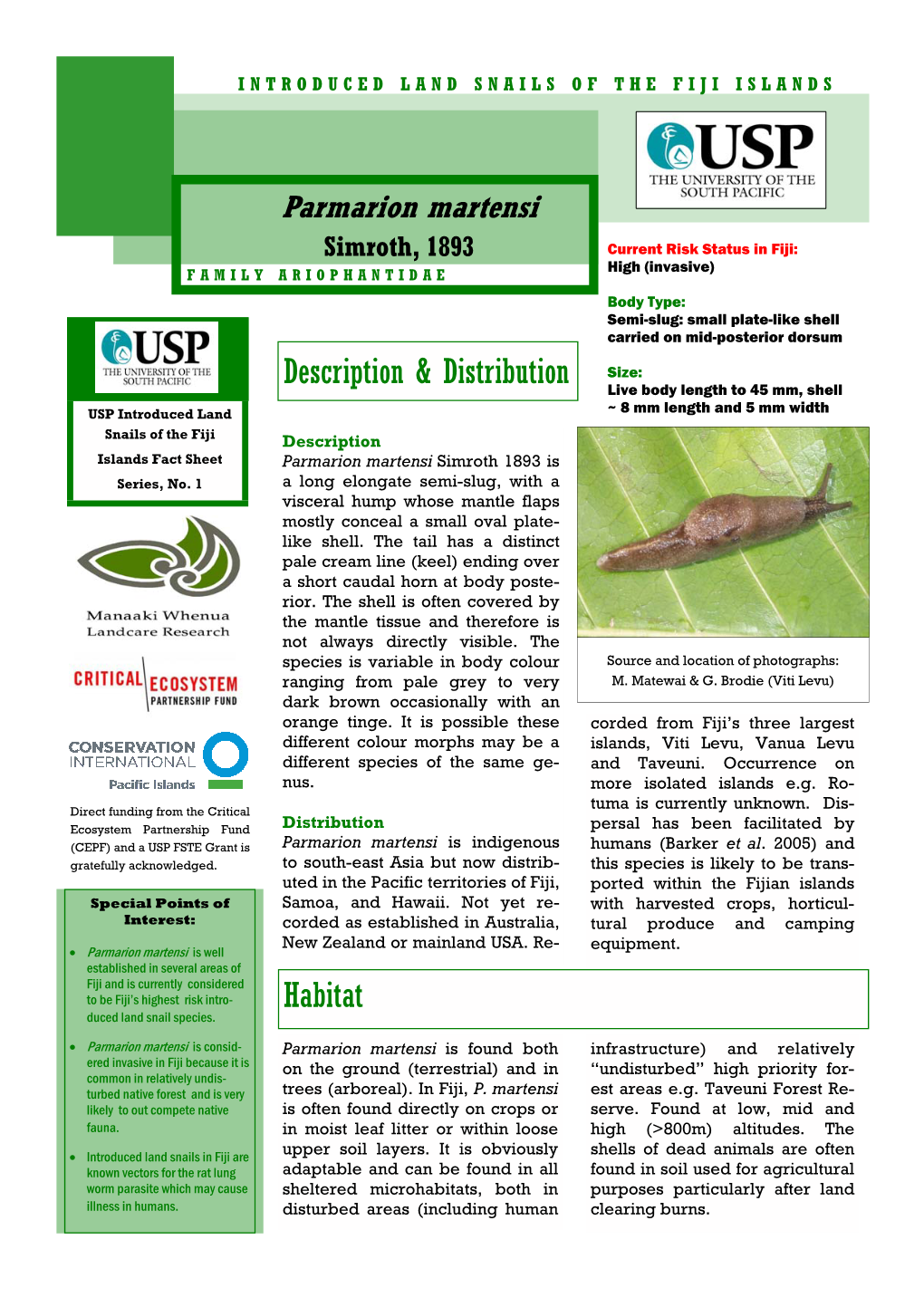 Parmarion Martensi Simroth, 1893 Current Risk Status in Fiji: High (Invasive) FAMILY ARIOPHANTIDAE