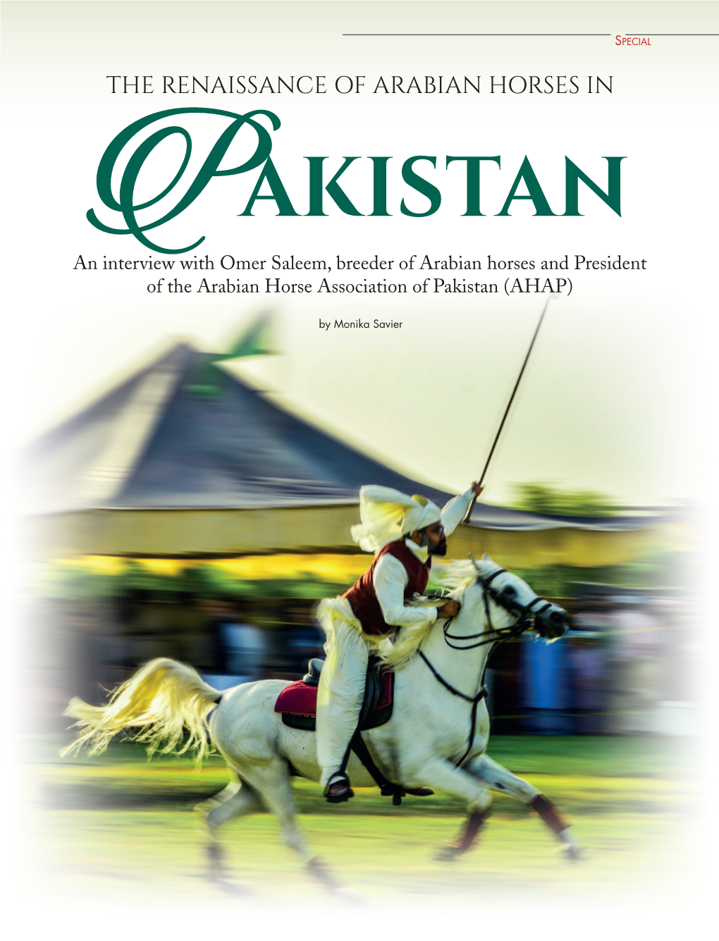 An Interview with Omer Saleem, Breeder of Arabian Horses and President of the Arabian Horse Association of Pakistan (AHAP)
