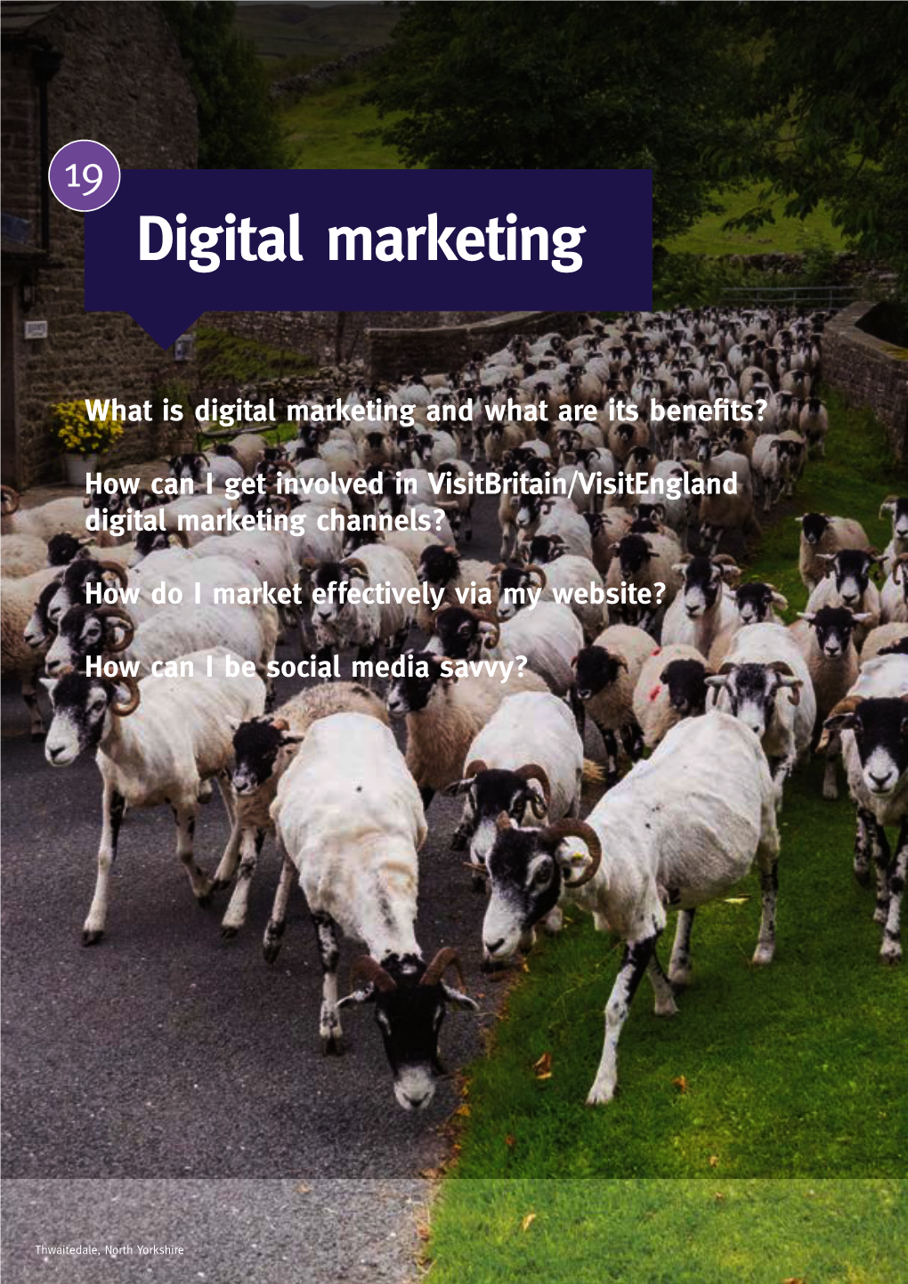 Digital Marketing