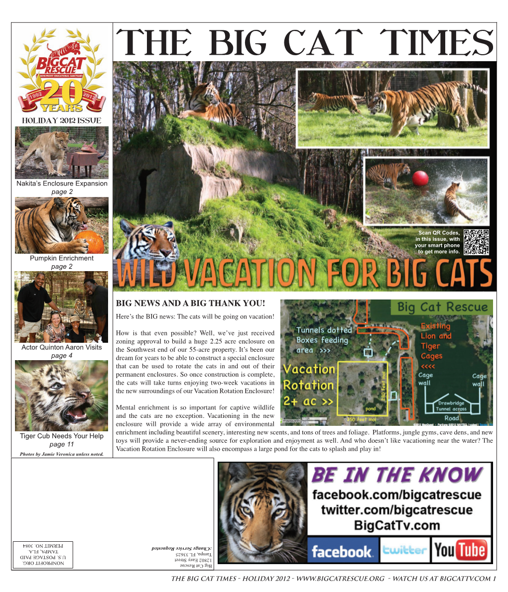 The Big Cat Times