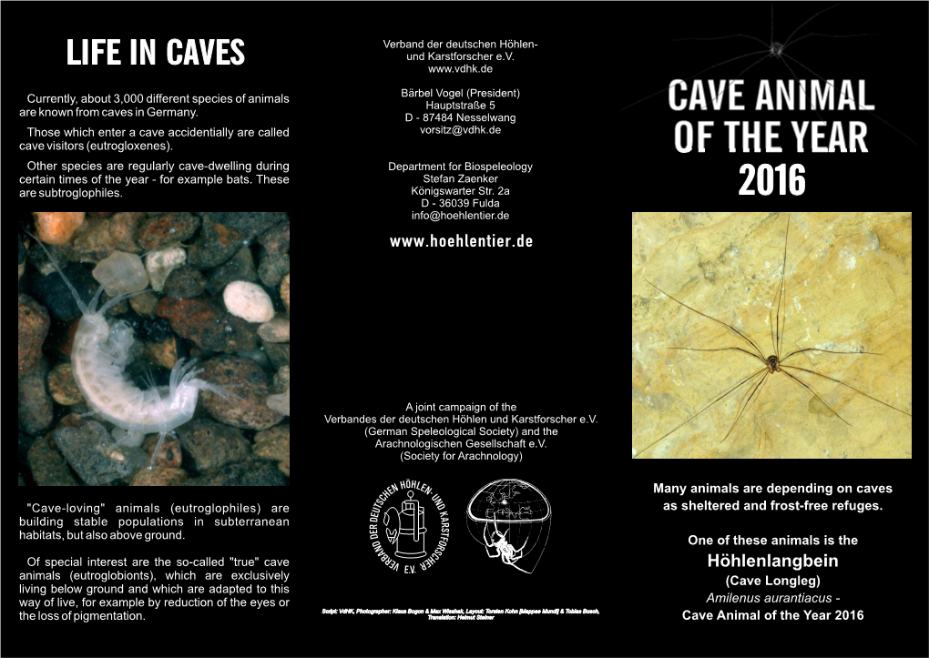 Cave Animal of the Year 2016 CAVE ANIMAL the CAVE AS HABITAT