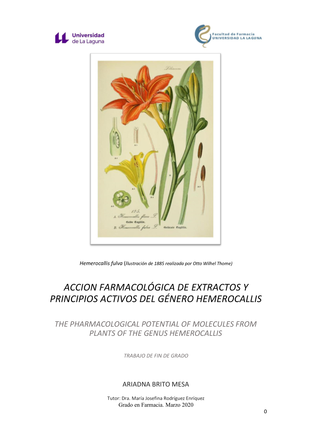 Accion Farmacológica De Extractos Y Principios Activos Del Género Hemerocallis