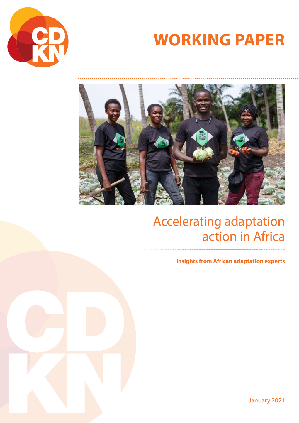 Accelerating Adaptation Action in Africa