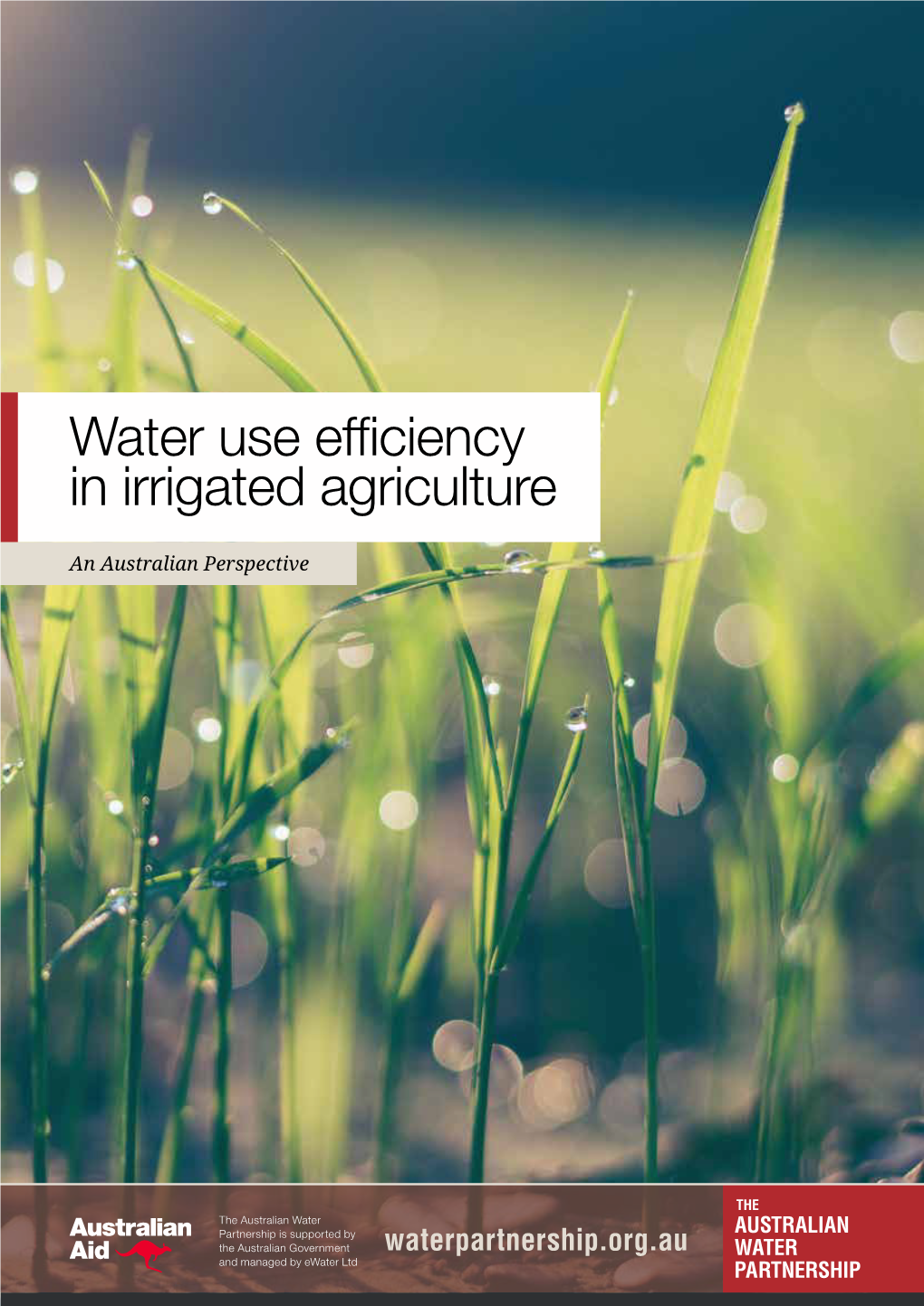 Water Use Efficiency in Irrigated Agriculture