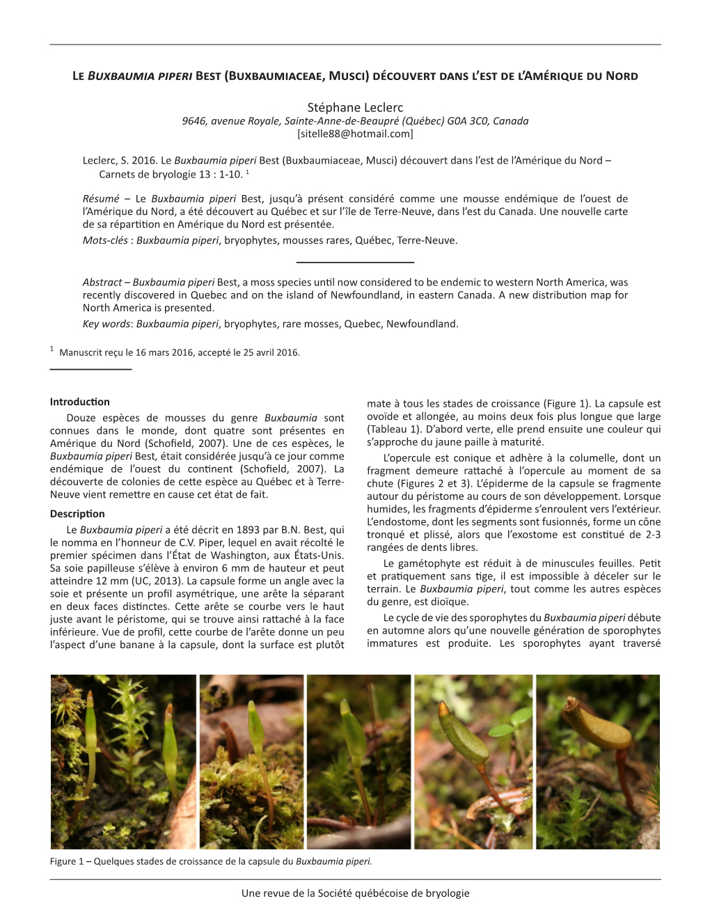 Le Buxbaumia Piperi Best (Buxbaumiaceae, Musci) Découvert Dans L'est De L'amérique Du Nord Stéphane Leclerc