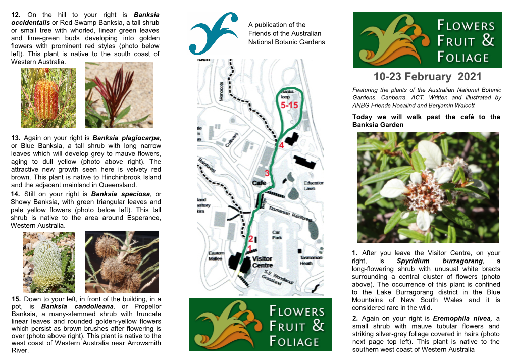 23 February 2021 Featuring the Plants of the Australian National Botanic Gardens, Canberra, ACT