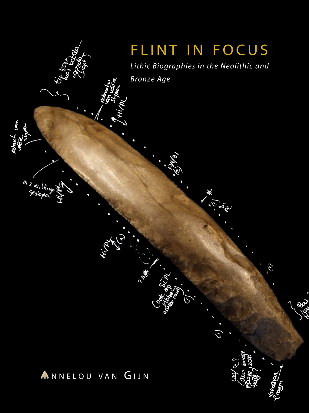 FLINT in FOCUS Lithic Biographies in the Neolithic and FLINT Bronze Age