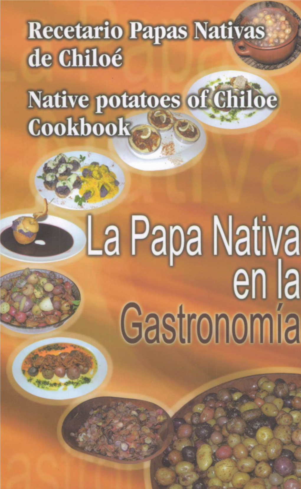 La Papa Nativa En La Gastronomía.Pdf