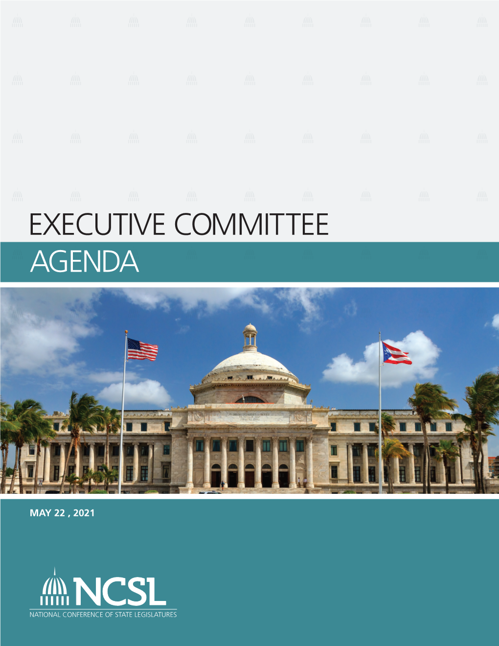 Executive Committee Agenda