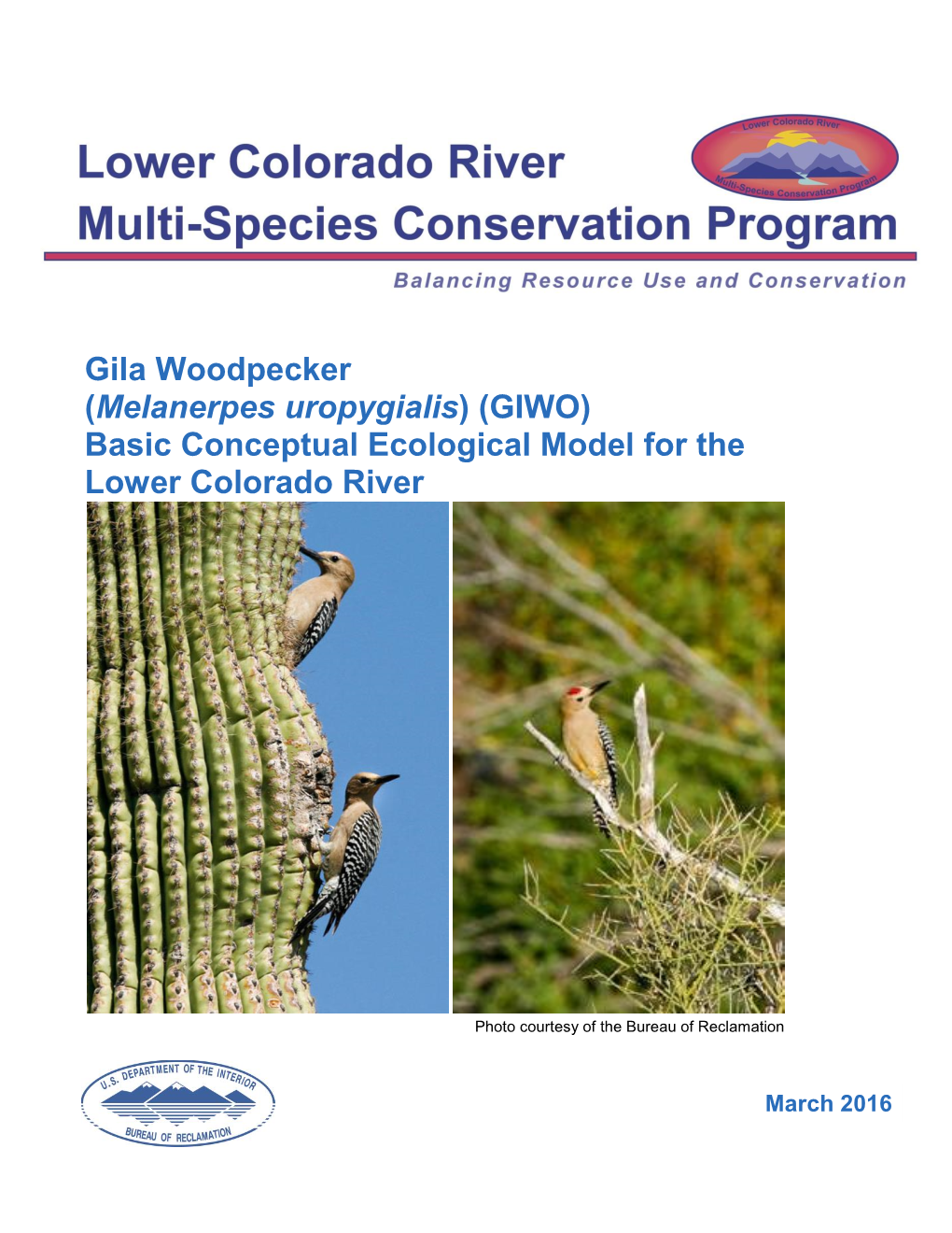 Gila Woodpecker (Melanerpes Uropygialis) (GIWO) Basic Conceptual Ecological Model for the Lower Colorado River