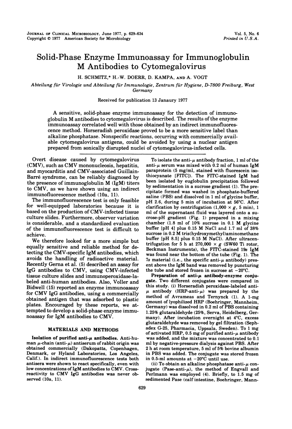 Solid-Phase Enzyme Immunoassay for Immunoglobulin M Antibodies to Cytomegalovirus H