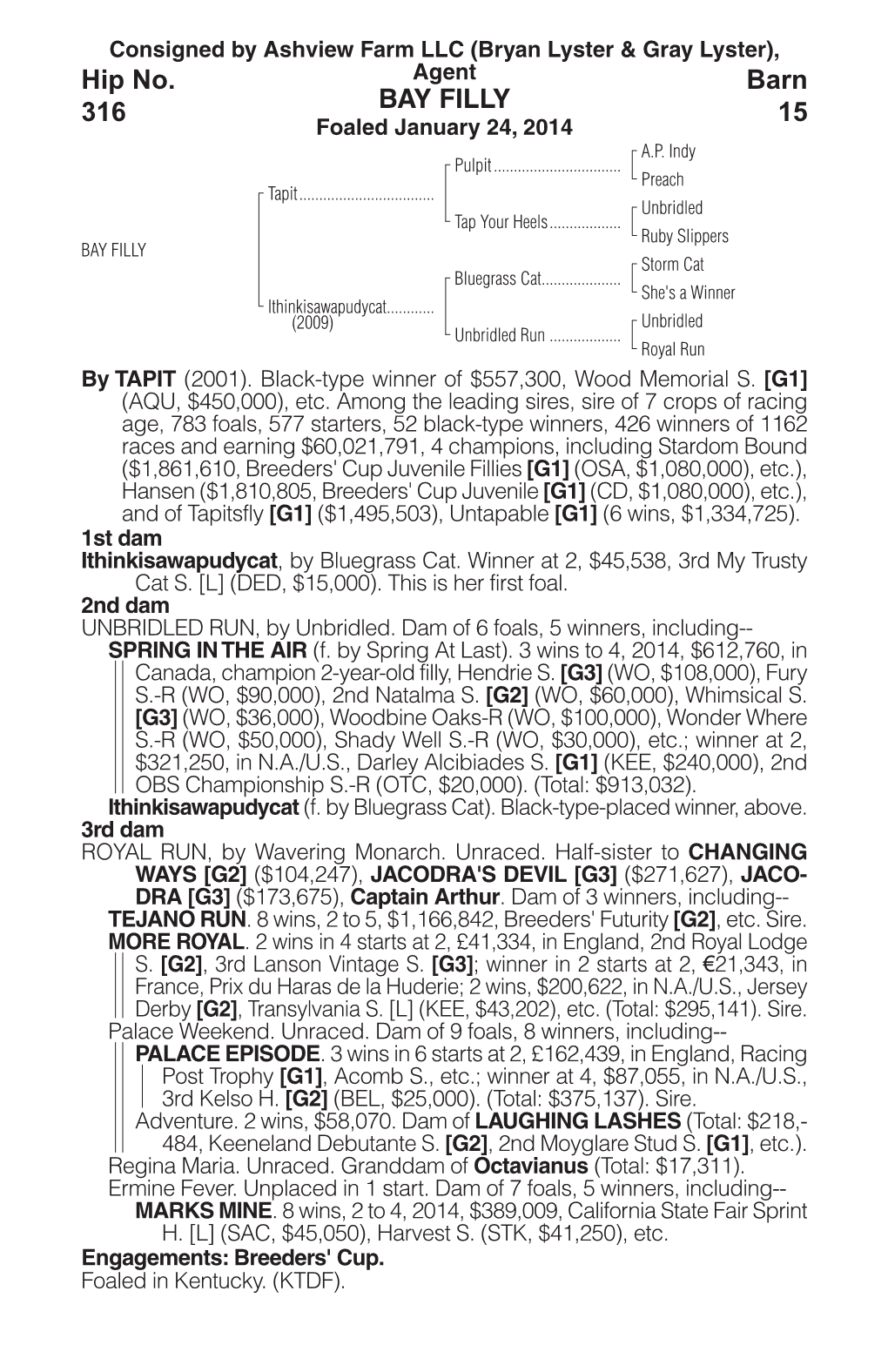 BAY FILLY Barn 15 Hip No