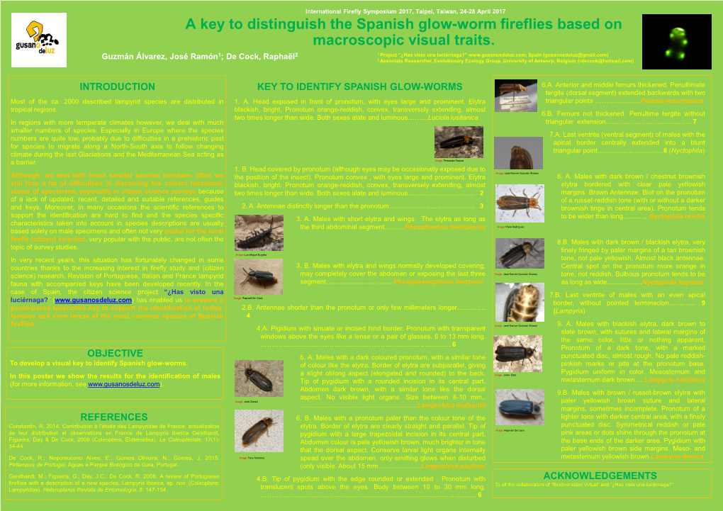 A Key to Distinguish the Spanish Glow-Worm Fireflies Based on Macroscopic Visual Traits