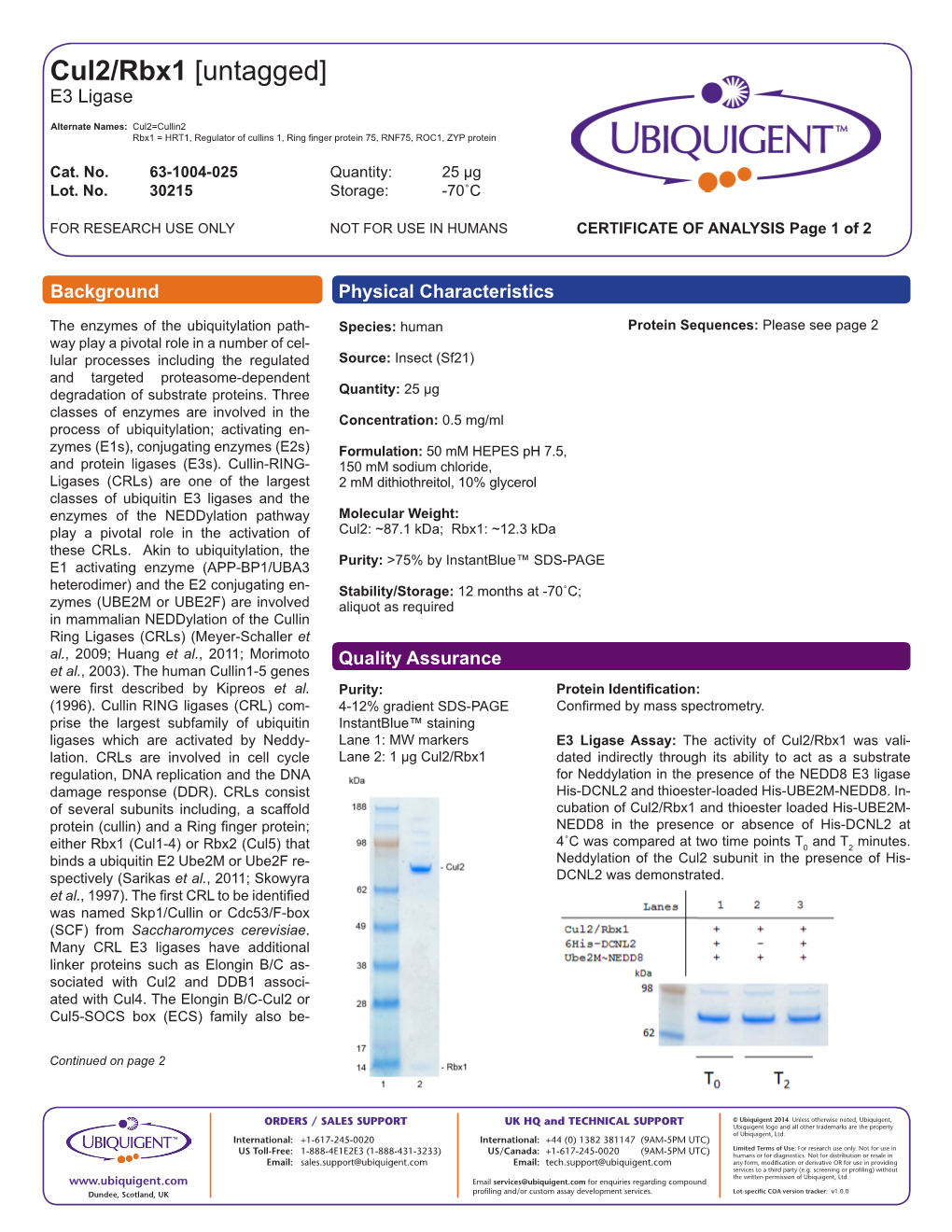 Cul2/Rbx1 [Untagged] E3 Ligase