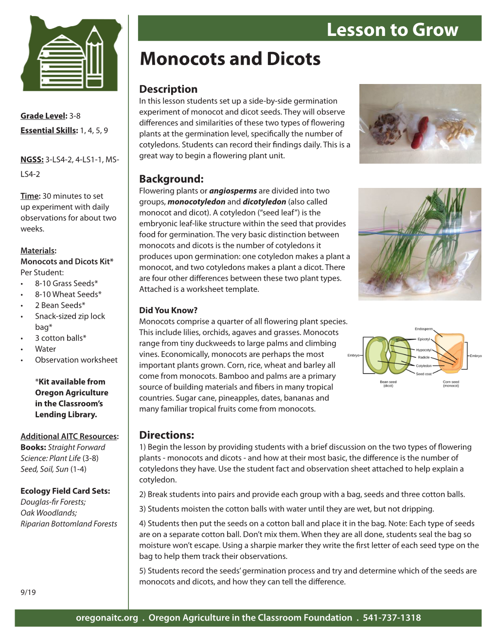 Monocots and Dicots Lesson to Grow