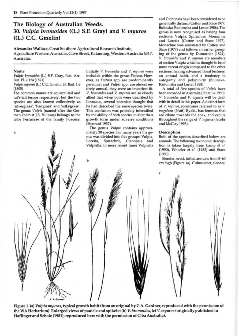 The Biology of Australian Weeds. 30. Vulpia Bromoides «L.) SF Gray) And