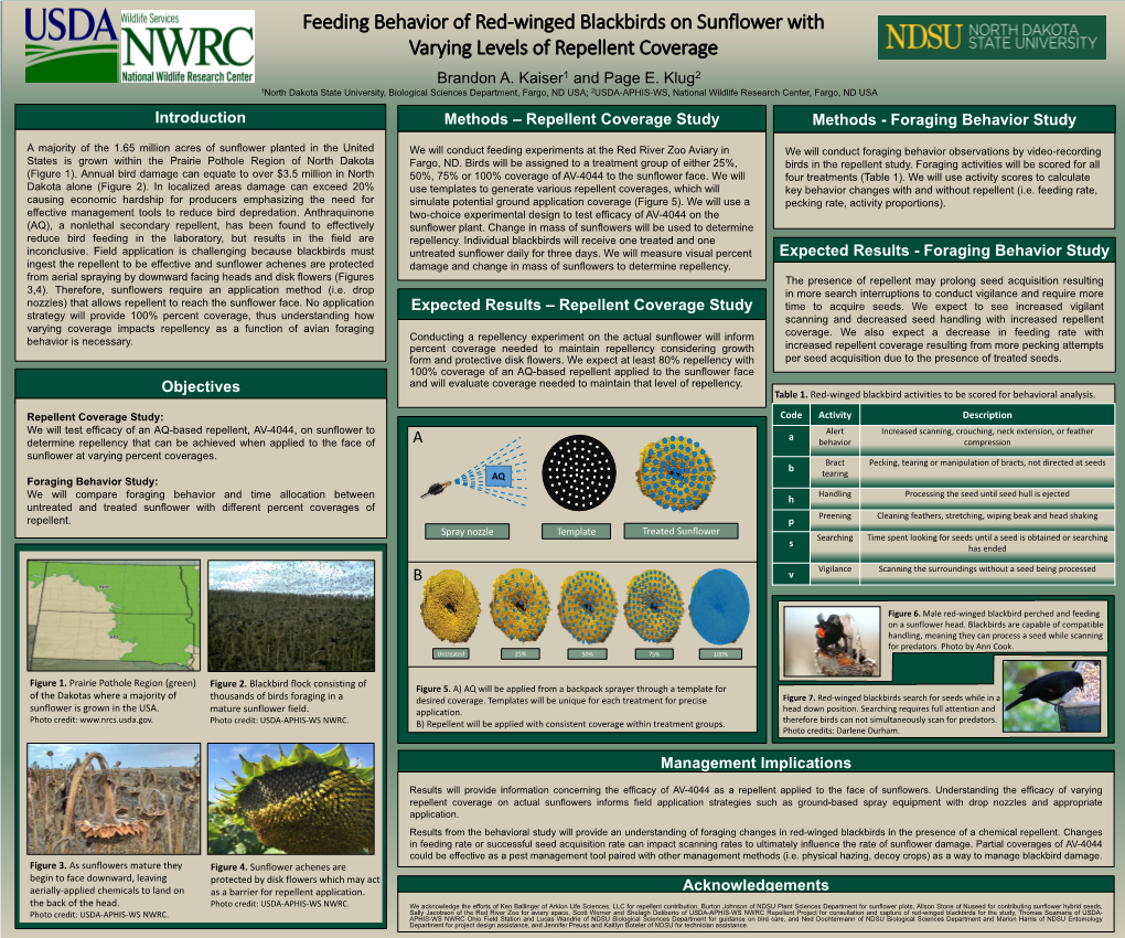 Feeding Behavior of Red-Winged Blackbirds on Sunflower with Varying Levels of Repellent Coverage Brandon A