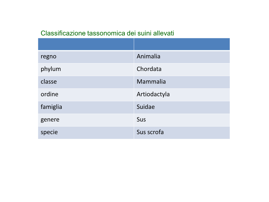 Diapositiva 1