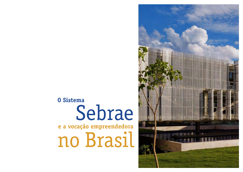 O Sistema Sebrae E a Vocação Empreendedora No Brasil Ricardo Prado