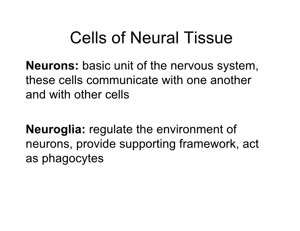 Neuron Basics
