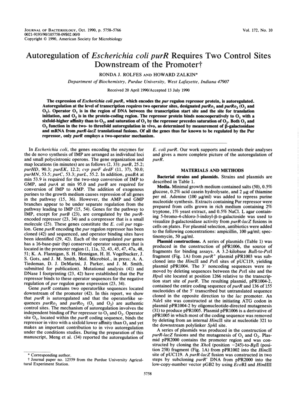 Autoregulation of Escherichia Coli Purr Requires Two Control Sites Downstream of the Promotert RONDA J