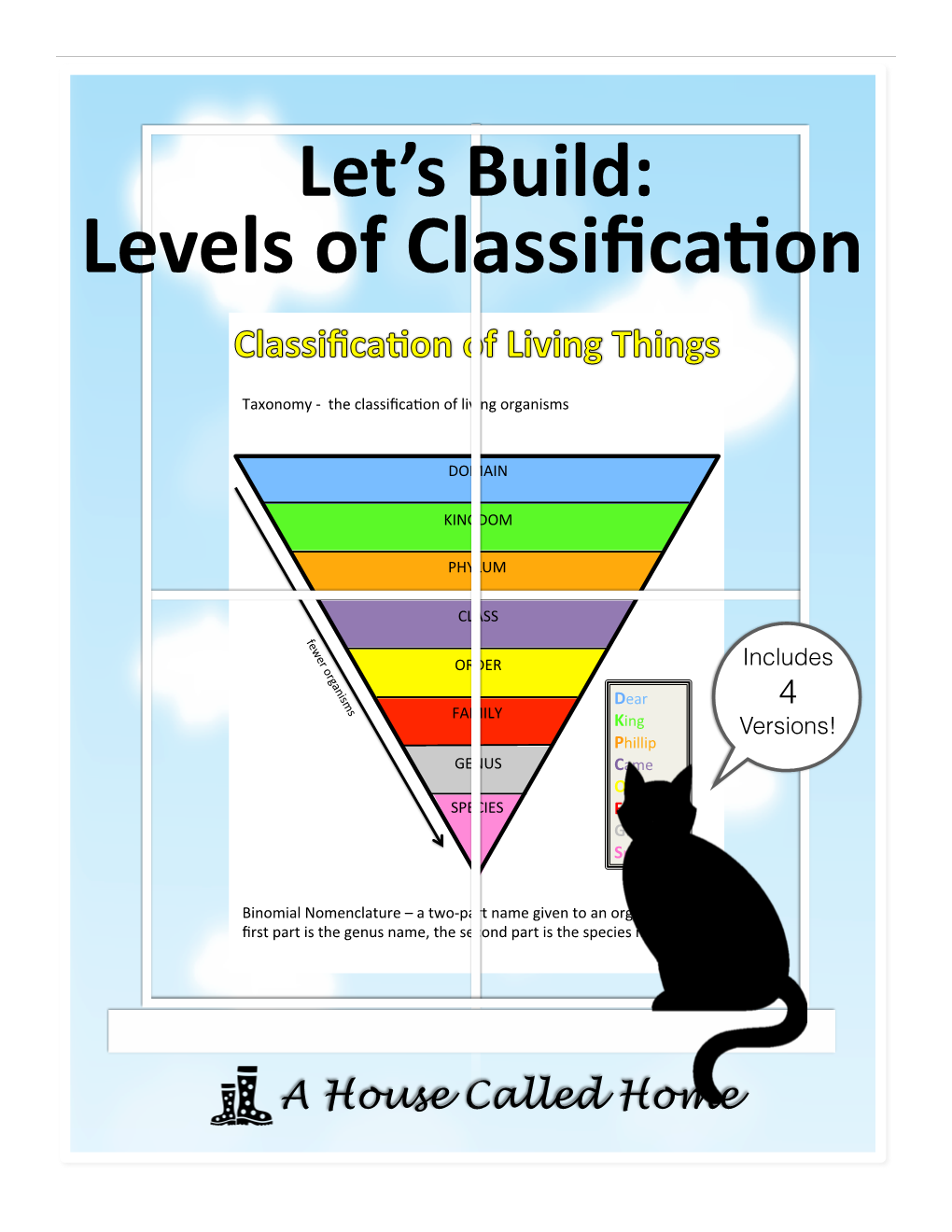 Levels of Classification.Pptx