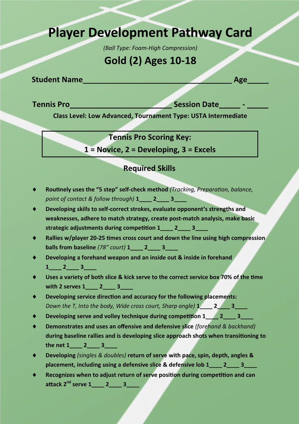 Player Development Pathway Card (Ball Type: Foam-High Compression) Gold (2) Ages 10-18