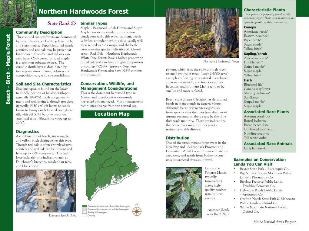 Northern Hardwoods Forest These Plants Are Frequently Found in This Community Type