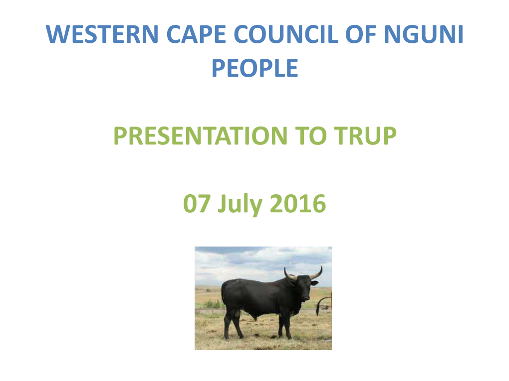 Western Cape Council of Nguni People