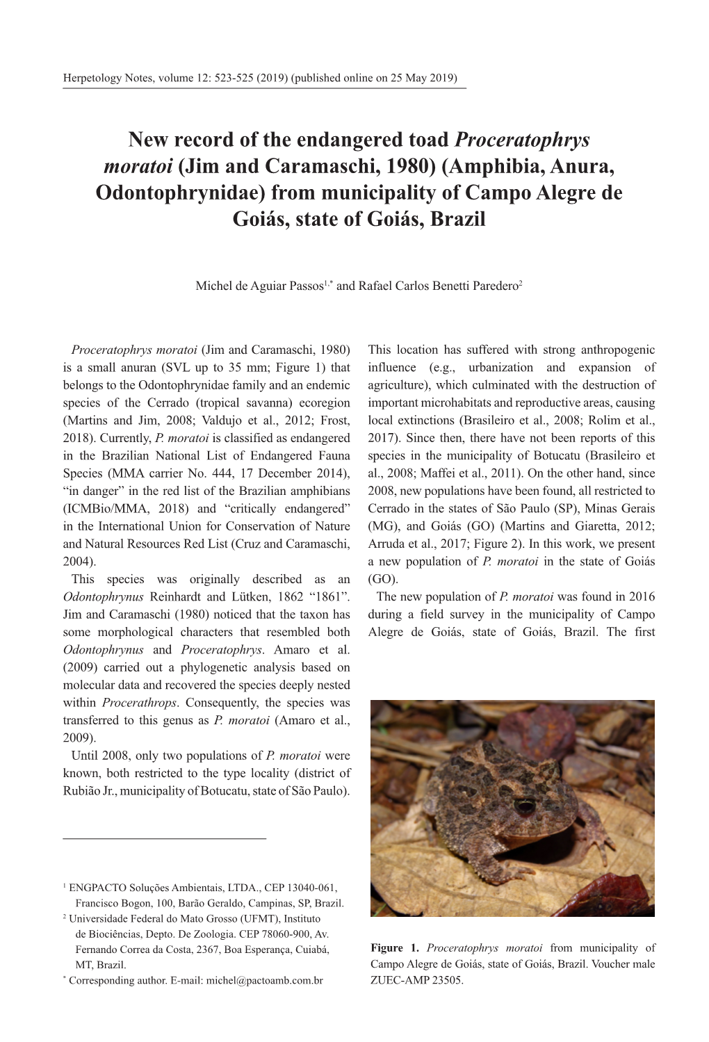 New Record of the Endangered Toad Proceratophrys Moratoi