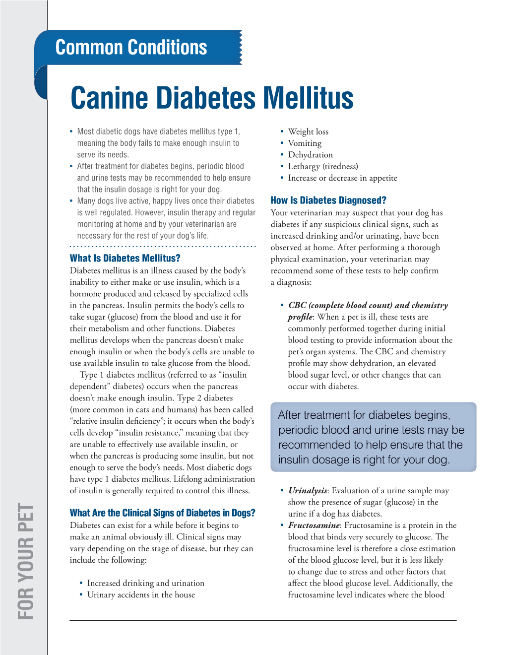 Canine Diabetes Mellitus Necessary for the Rest of Your Dog’S Your Life