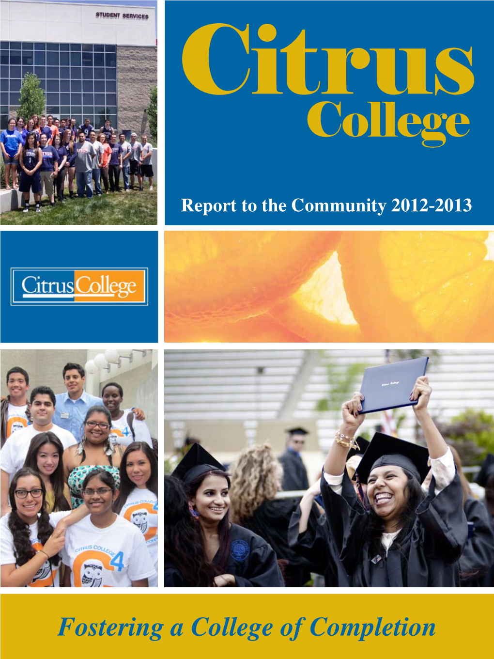 2012-2013 Report to the Community