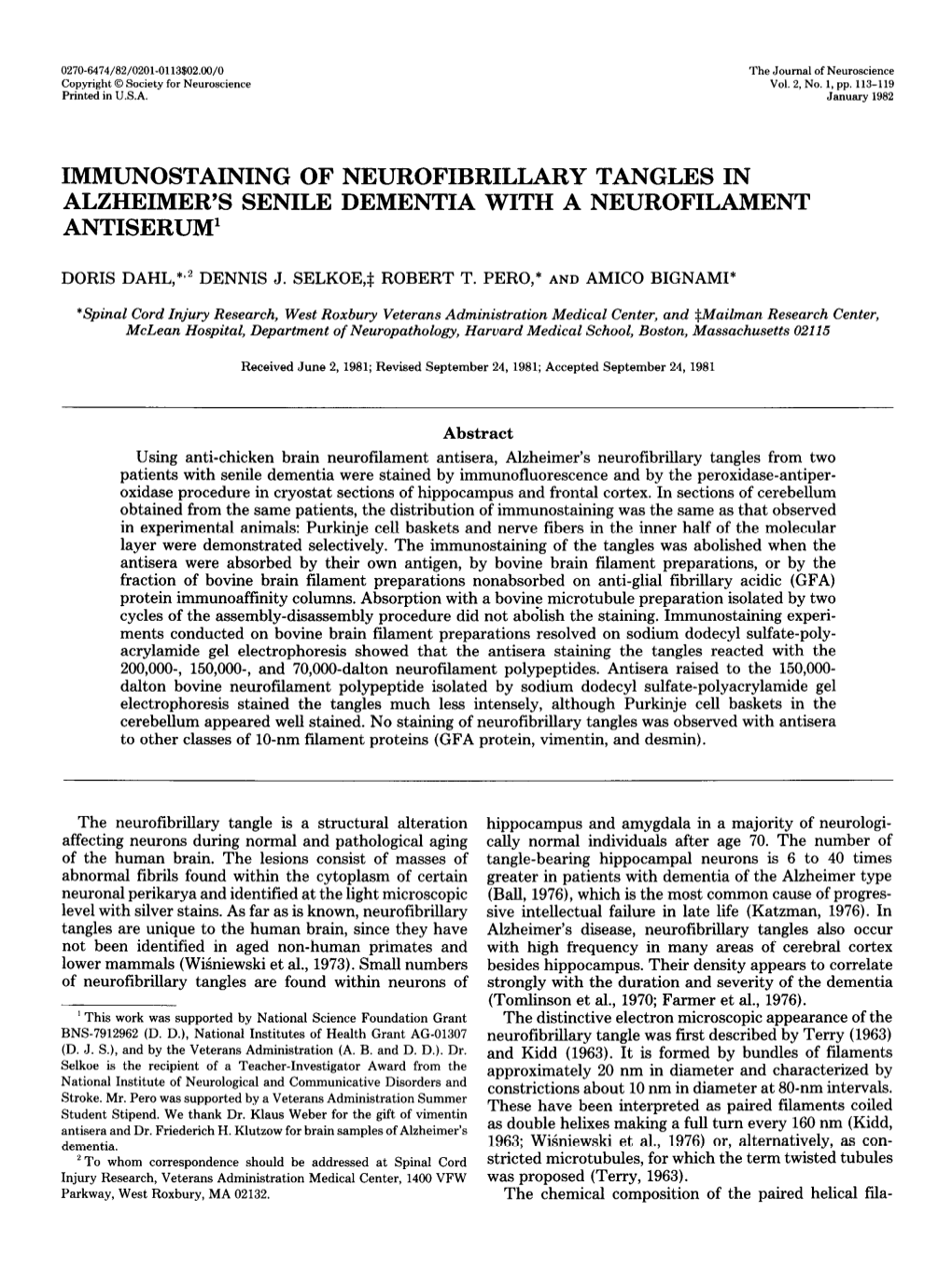 Immunostaining of Neurofibrillary Tangles in Alzheimer's Senile