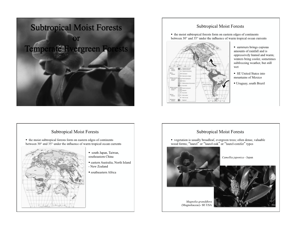 Subtropical Moist Forests Or Temperate Evergreen Forests