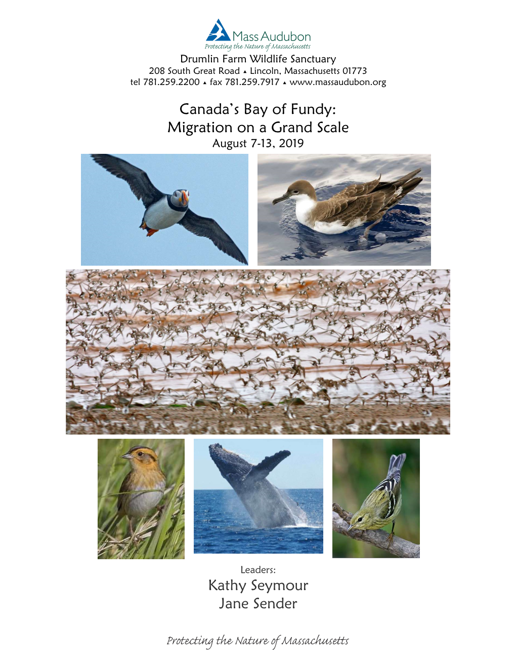 Canada's Bay of Fundy: Migration on a Grand Scale Kathy Seymour Jane