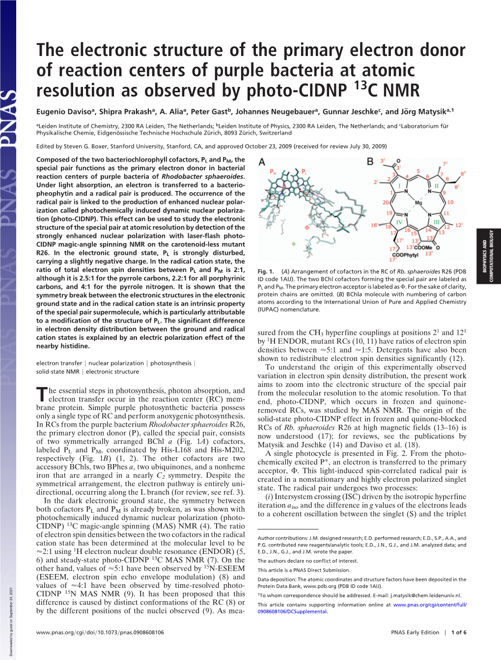 The Electronic Structure of the Primary Electron Donor of Reaction Centers of Purple Bacteria at Atomic Resolution As Observed by Photo-CIDNP 13C NMR