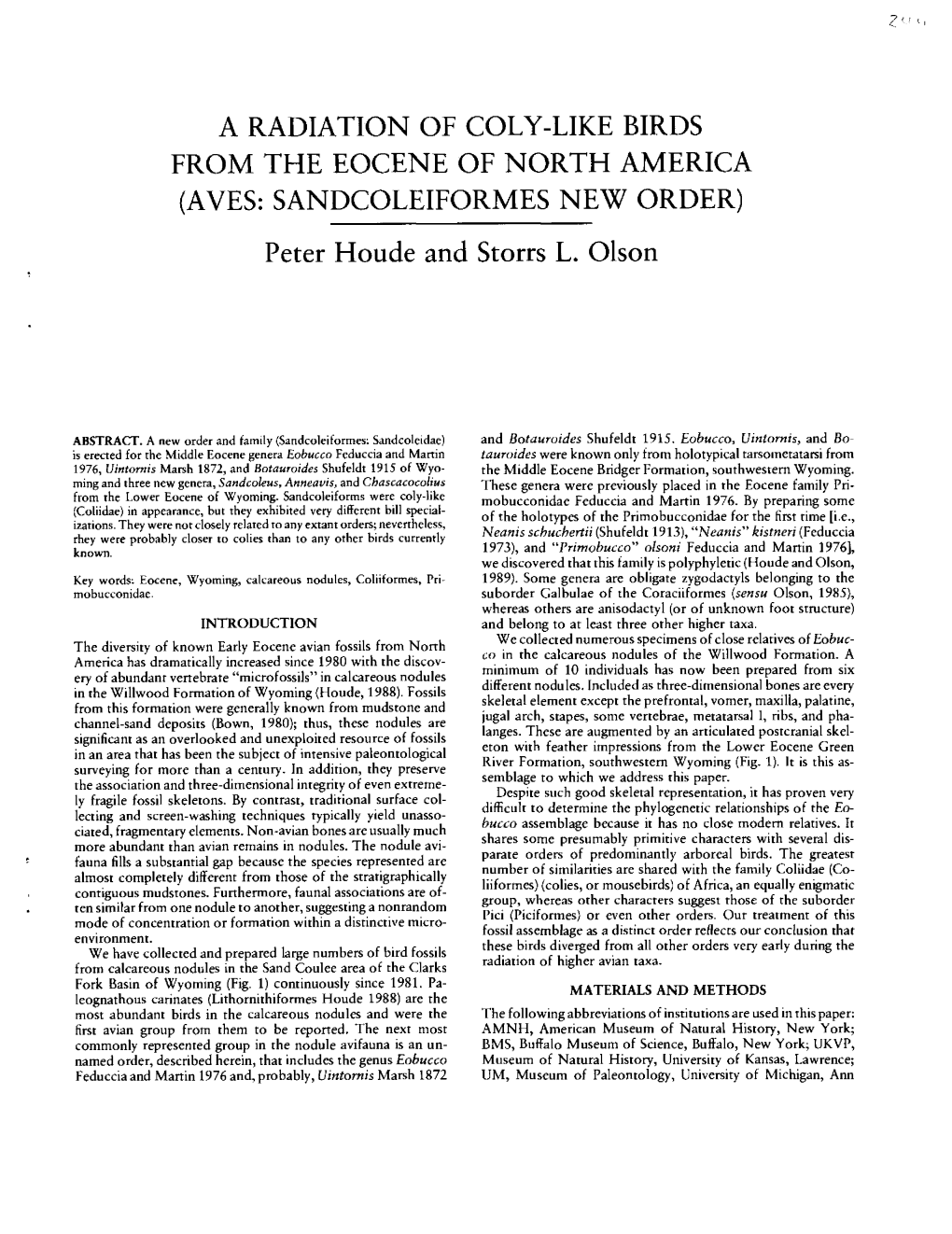 AVES: SANDCOLEIFORMES NEW ORDER) Peter Houde and Storrs L