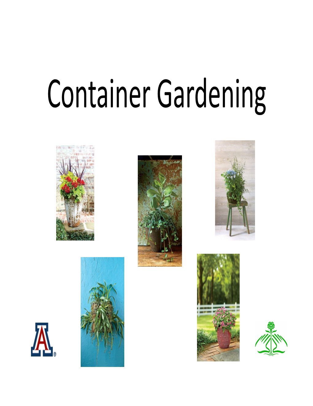 Container Gardening Why Create a Container Garden?